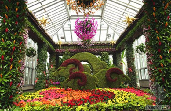 墙上植物盆栽资料下载-2015上海植物园年宵花展喜气“羊羊”迎新春