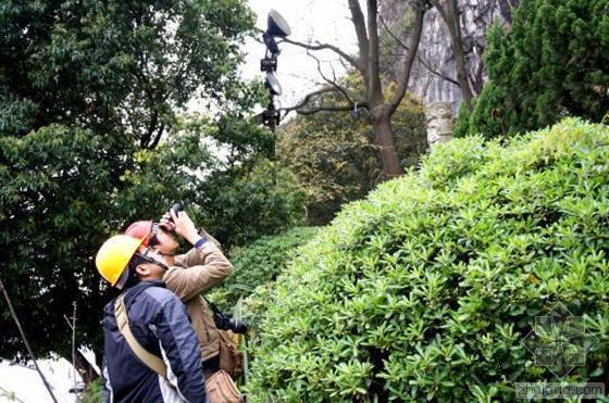 景区地灾施工方案资料下载-桂林景区岩石崩塌 致7名游客遇难