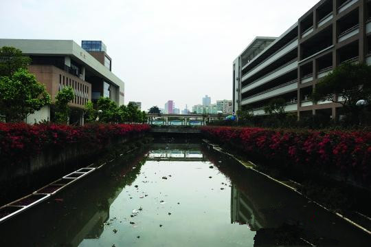 一次性口罩生产厂房设计资料下载-东莞学校旁河涌臭4年师生需戴口罩上课