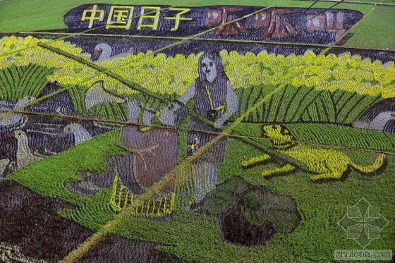 沈阳种植设计资料下载-十三个巨幅“3D稻田画”亮相沈阳