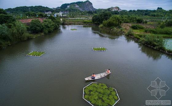 绿色水生植物资料下载-浙江美丽“浮岛乡村” 一座与世隔绝的小乡村！