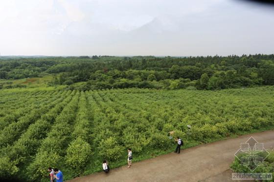 服装生产基地资料下载-湖北：绿色“紧箍咒”倒逼发展转型 大有可为！