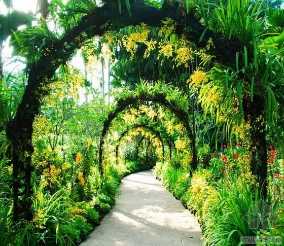 天安门国庆花坛植物资料下载-新加坡植物园荣获 全球首个世界文化遗产热带园林！