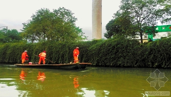 跨河污水管道设计资料下载-“5+2”河长制治水模式助力和睦港告别“黑臭河”