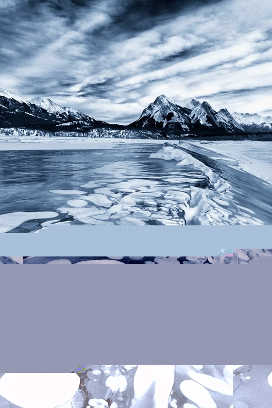 解秘加拿大湖里美丽的冰冻气泡！