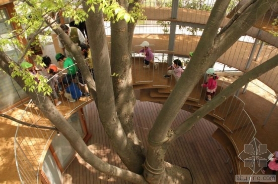 长在树上的幼儿园 让孩子回归大自然-长在树上的幼儿园 让孩子回归大自然