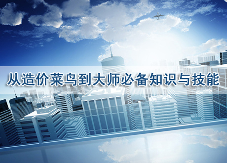 公路造价实战技能资料下载-从造价菜鸟到造价大师必备知识与技能