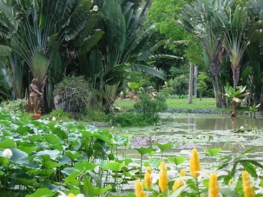 皇家植物园资料下载-里约热内卢植物园