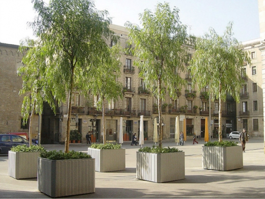 实用景观树池,花坛设计