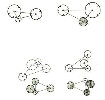 园林景观设计园林植物的配置——丛植