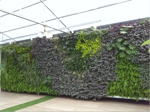 生态植物餐厅资料下载-浙江杭州沃霖植物墙之杭州瑞香源生态餐厅