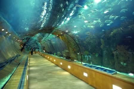 伊斯法罕梦幻商业中心资料下载-世界上十大最奇特的隧道