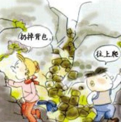 地质灾害前兆资料下载-应急避险手册：自然灾害 泥石流