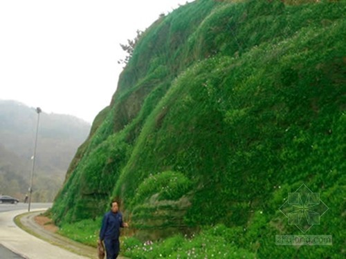 混泥土边坡资料下载-植被混凝土边坡绿化技术解难题 陡峭岩石披“绿衣”