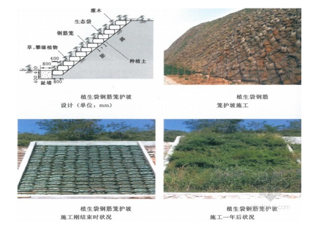 水土保持方案植被措施设计(2013年)