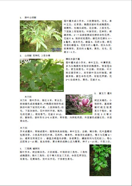 北京园林常见植物资料下载-150种常见植物及其简介