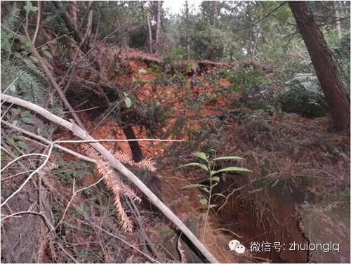 [塌方处治]隧道洞内塌方实例分析及处理方案_1