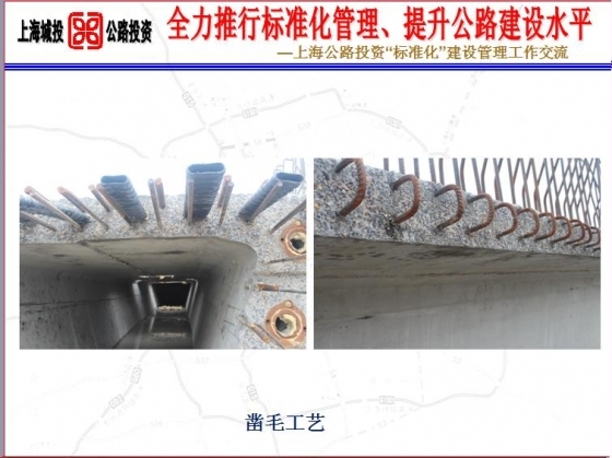 上海公路投资“标准化”建设管理工作交流-1025.JPG