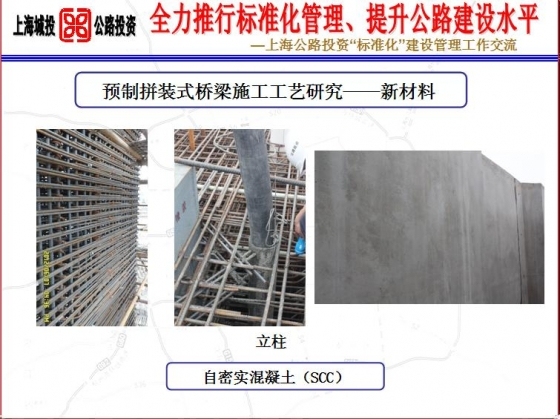 上海公路投资“标准化”建设管理工作交流-1054.JPG