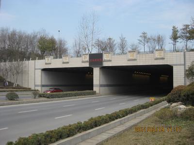 南京纬三路隧道资料下载-南京市民称扬子江隧道设计不合理