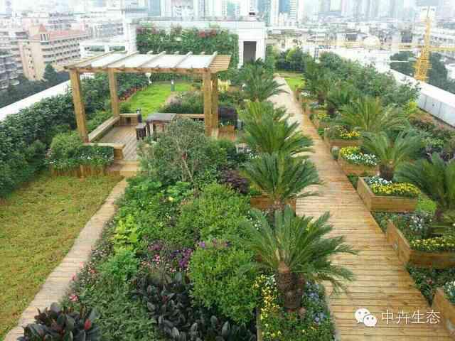 露台花园防水排水资料下载-中卉，为城市营造空中花园