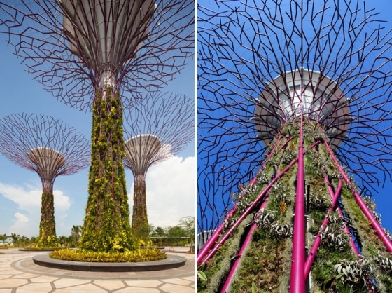 新加坡Gardens by the Bay-20140731104331711.jpg