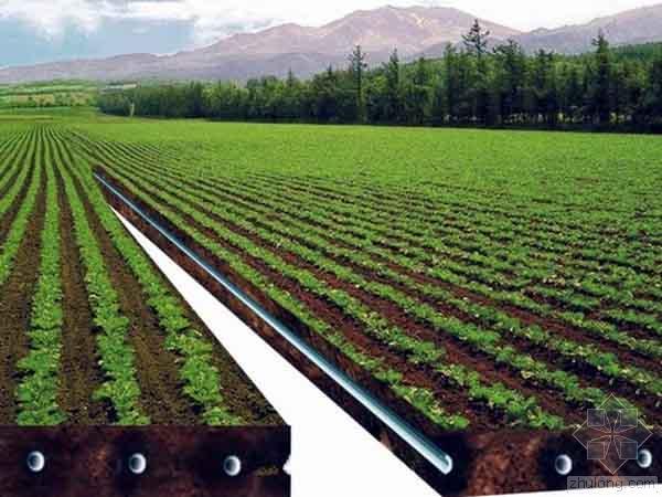 小型农田水利工程喷灌系统资料下载-农田水利工程节水灌溉技术分析