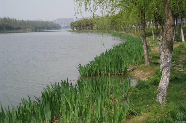 辽宁河道生态环境资料下载-河道治理与水生态环境