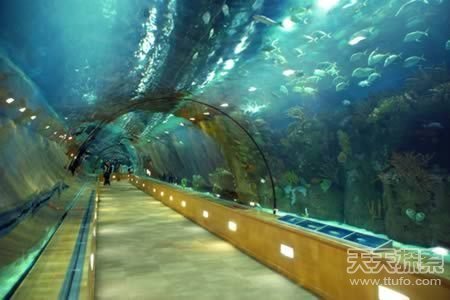 伊斯法罕梦幻商业中心资料下载-TOP榜：世界最美丽的十大隧道