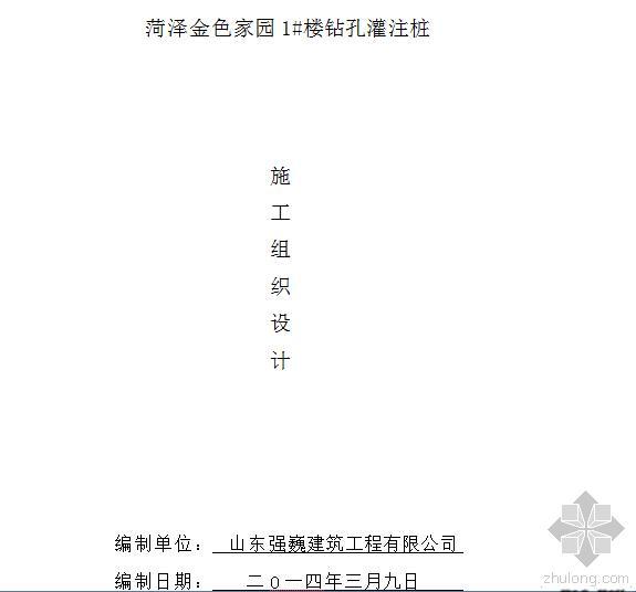 正循环钻孔桩资料下载-正循环钻孔灌注桩方案