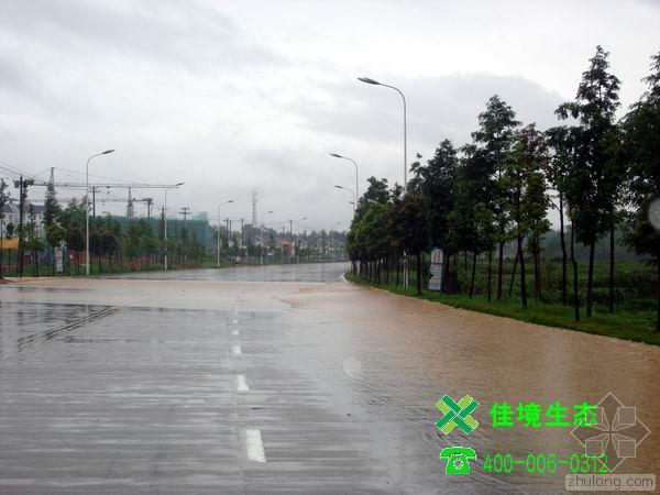 cad园林道路结构资料下载-道路雨水问题——摘自中国园林期刊