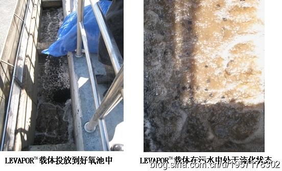 室外污水改造方案资料下载-[案例]黑龙江宁安污水处理厂提标扩容改造方案