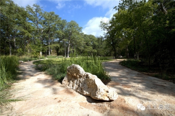 蓝洞石灰岩地质公园_6