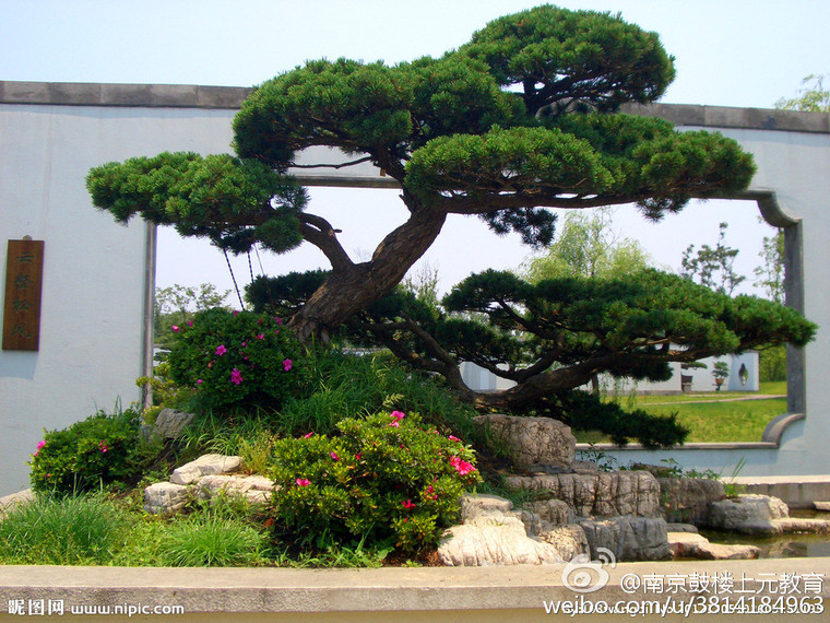 园林植物栽培与管理资料下载-​园林植物景观设计的要点有哪些