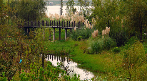 游憩地类型资料下载-城市湿地公园中的人类游憩行为研究