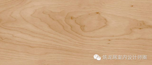 南方植物图块资料下载-[有图有真相]史上最牛100种常用木材大全