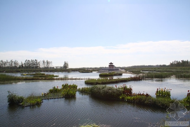 哈尔滨生态湿地公园视频资料下载-人工湿地水质净化工程 