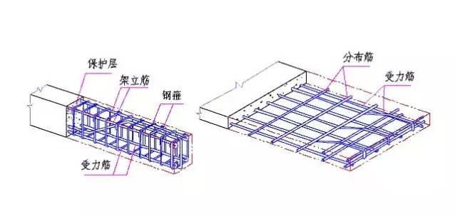 怎么样区分板的受力筋跟分布筋?