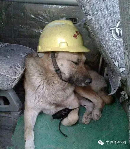 [分享]在工地混,就是要这么狂拽酷炫吊炸天!