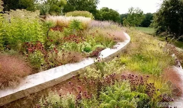 墨尔本皇家公园湿地资料下载-植物配置中10大致命错误以及如何避免它们