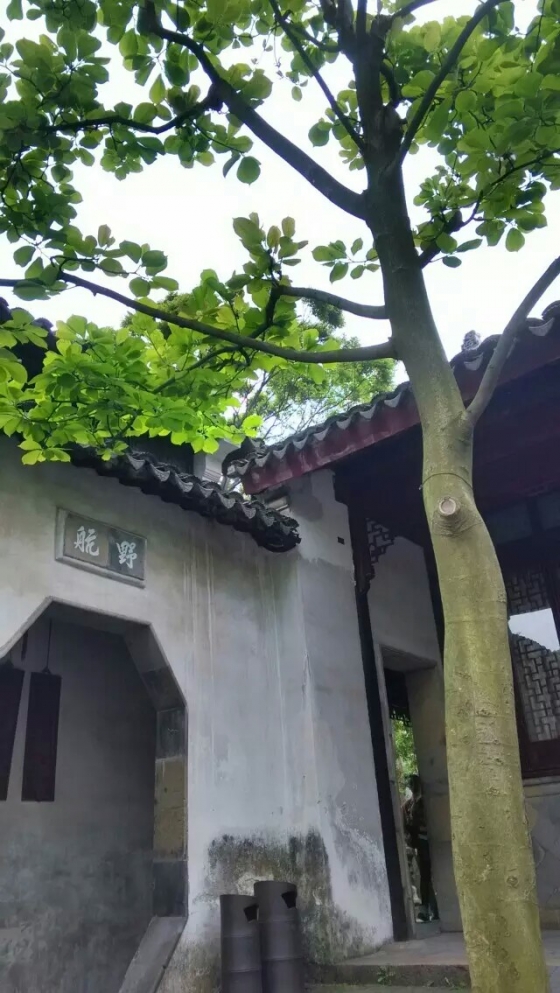 这是拙政园里的一处景,我喜欢她的名字——野航,江南韵味里头透裸点