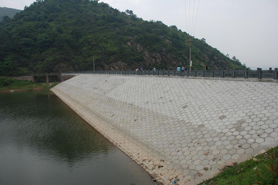 土坝与溢洪道资料下载-小型病险水库除险加固技术