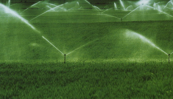 高效节水灌溉项目实施方案资料下载-[喷灌技术]节水灌溉技巧