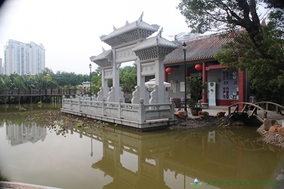 深圳园博园河道生态修复，构造原生态景观-更改尺寸后 加水印 图片4