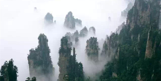 景区供水工程资料下载-编制水土保持方案必读，肯定有你不知道的内容