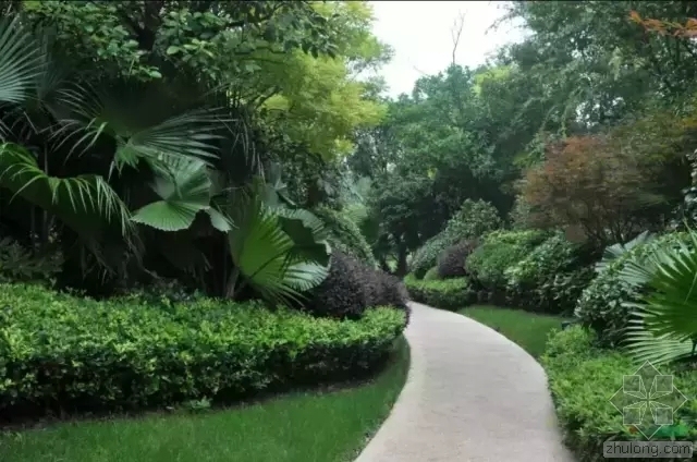 公园道路绿化资料下载-既省钱又有效果的景观苗木种植思路，超实用！