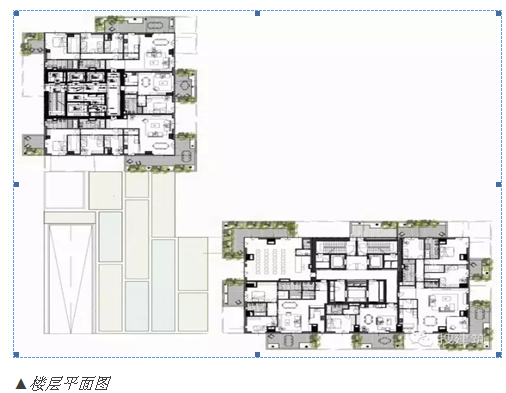 全球最具创新性的高层建筑——通往未来森林之城-29.1.png