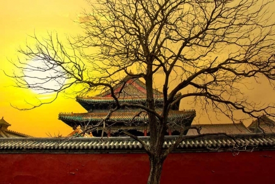 中国古建筑摄影作品，美呆了！_17