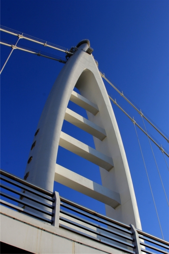 [分享]主跨180米独塔自锚式景观悬索桥赏析