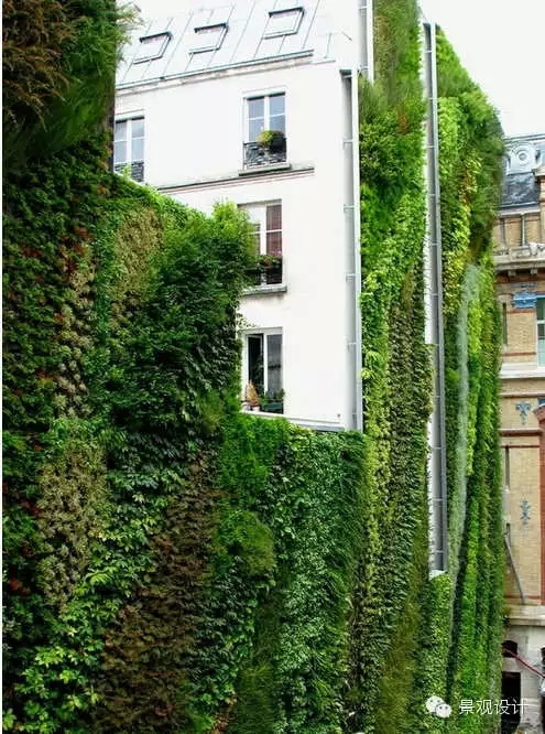 垂直绿墙cad资料下载-20款 · 绝美垂直绿墙设计